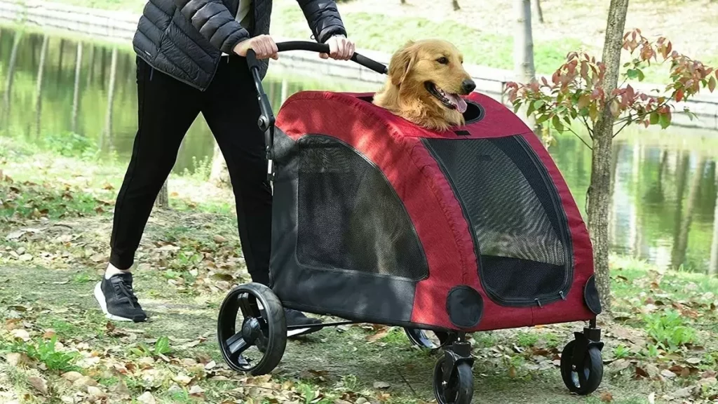 consejos para utilizar el carrito para perros