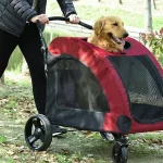 consejos para utilizar el carrito para perros