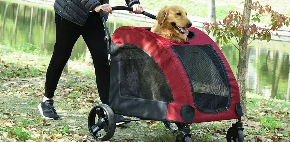 consejos para utilizar el carrito para perros